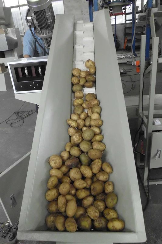 Pianta mobile su misura 2.5KW di insaccamento della macchina imballatrice della patata
