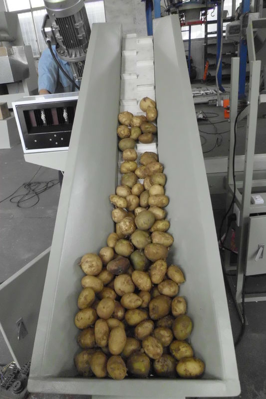 Carbone professionale/macchina imballatrice patata/del BBQ della stampa con porto RS232/485